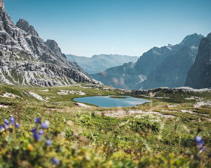 Alpe sø med bjergtoppe i baggrunden, frodige bakker og vilde blomster i forgrunden under en klar blå himmel.