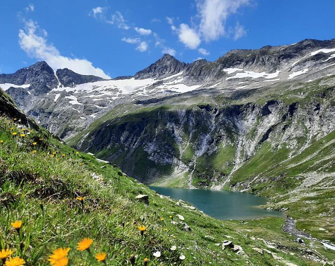 Berglandschaft mit blauem Himmel, schneebedeckten Gipfeln und grünem Tal. Im Vordergrund blühen gelbe und weiße Blumen. Ein kleiner Bergsee liegt in der Mitte.