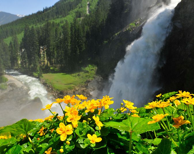 Ein Wasserfall rauscht inmitten einer grünen Berglandschaft. Im Vordergrund blühen leuchtend gelbe Blumen. Der Himmel ist klar, und Bäume umrahmen die Szene.