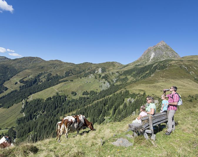 Personen betrachten auf einer Bank sitzend die malerische Berglandschaft mit grasenden Kühen im Vordergrund. Der Himmel ist klar mit vereinzelten Wolken.