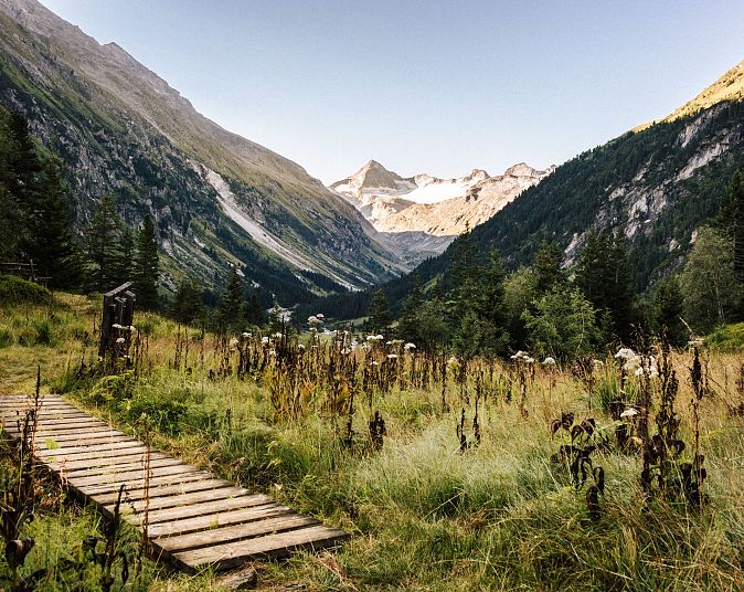 Stezka Holzweg vede alpskou loukovou krajinou s vysokými horami v pozadí, pod modrou oblohou, v oblasti Wildkogel-Arena.
