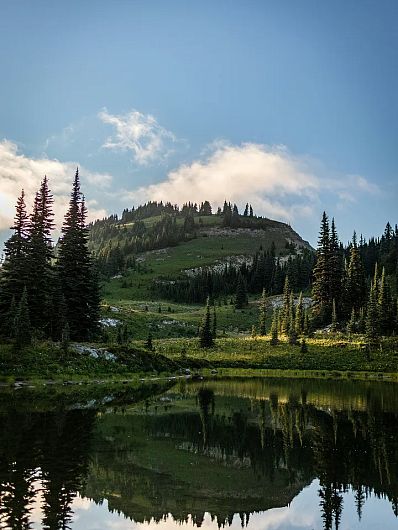 En naturskøn scene med en frodig bakke dækket af nåletræer, reflekteret i en rolig sø, omkranset af grønne enge under en delvist skyet himmel.