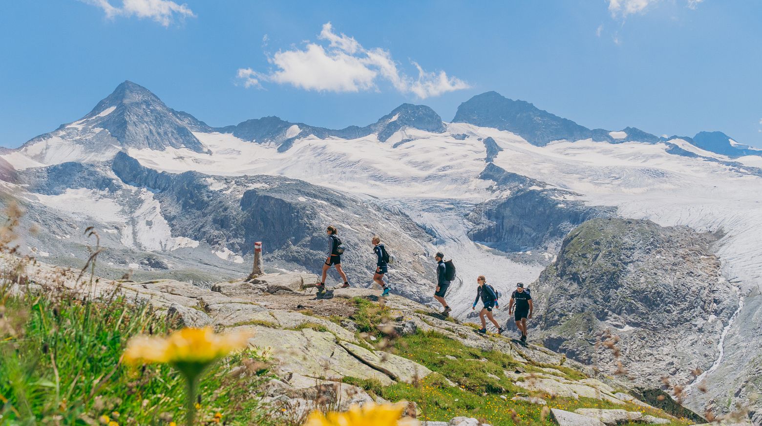 A group of hikers is walking through a picturesque mountain landscape in the Obersulzbachtal valley, with snow-capped peaks in the background. Nearby, yellow flowers are blooming in the foreground.