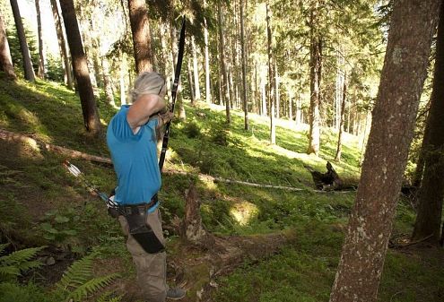 Eine Person mit grauen Haaren steht in einem Wald und hält einen Bogen, als ob sie auf ein Ziel zielt. Der Boden ist mit Farnen bedeckt, und Bäume umgeben die Szene.