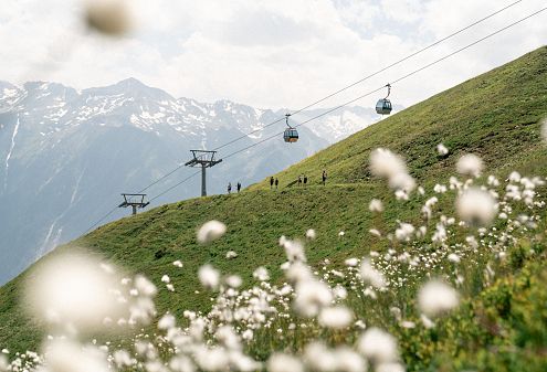 Een schilderachtig alpenlandschap met een groene heuvel bedekt met bloemen, kabelbaan en bergen op de achtergrond onder een bewolkte hemel.