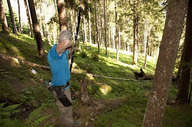 3D-Bogenschießen im Sommerwald der Wildkogel-Arena – Naturerlebnis und Präzision inmitten idyllischer Berglandschaft.