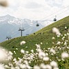 Wanderer auf einem blühenden Almweg im Höhenwandergebiet Wildkogel mit Blick auf eine Gondelbahn und die Gipfel der Hohen Tauern – Sommerurlaub inmitten alpiner Blumenpracht und beeindruckender Bergkulisse.