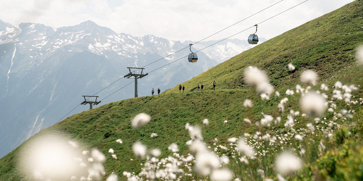Wanderer auf einem blühenden Almweg im Höhenwandergebiet Wildkogel mit Blick auf eine Gondelbahn und die Gipfel der Hohen Tauern – Sommerurlaub inmitten alpiner Blumenpracht und beeindruckender Bergkulisse. uk-cover