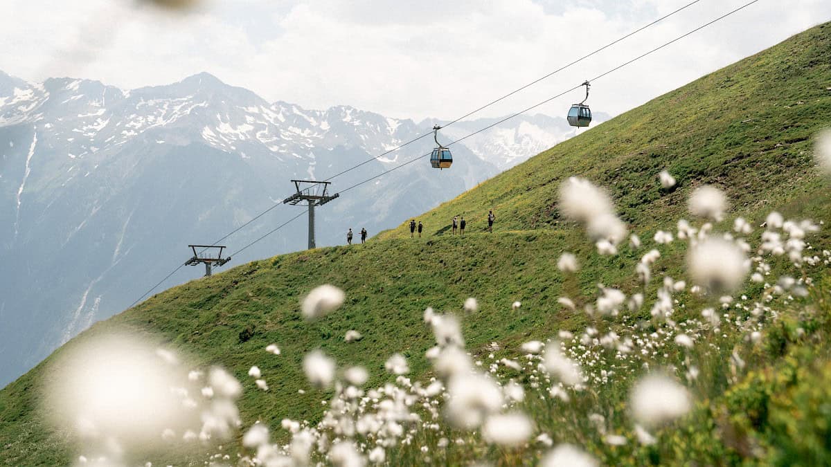 Hikers on a blooming alpine trail in the high-altitude hiking area of Wildkogel, with a view of a cable car and the peaks of the Hohe Tauern – summer holidays on the Hohe Tauern Panorama Trail amidst alpine flowers and stunning mountain scenery.