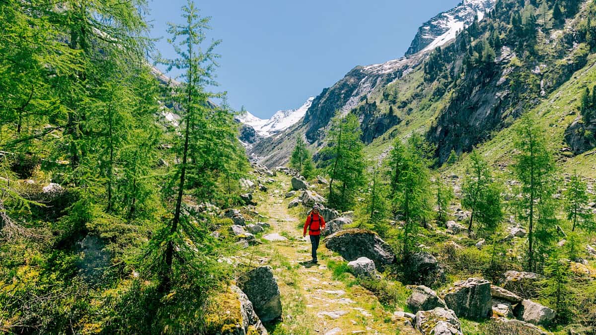 Wandern im Untersulzbachtal mich Blick auf den GroĂźvenediger