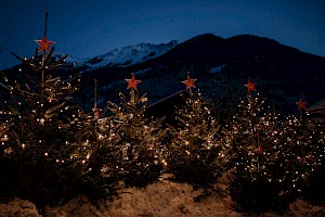 Beleuchtete Christbäume mit roten Sternen beim Adventmarkt in Neukirchen, vor dunklem Bergpanorama.