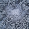 Luftaufnahme eines verschneiten Waldes: dicht stehende, schneebedeckte Nadelbäume umgeben eine kleine, helle Lichtung in winterlicher Berglandschaft.