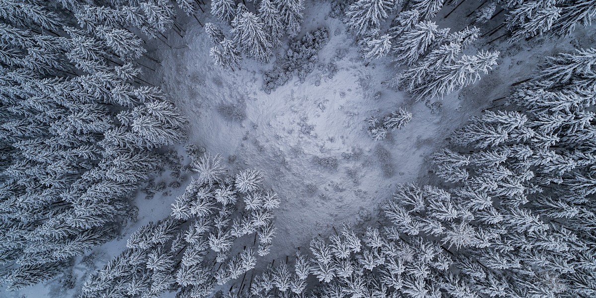 Luftaufnahme eines verschneiten Waldes: dicht stehende, schneebedeckte Nadelbäume umgeben eine kleine, helle Lichtung in winterlicher Berglandschaft. uk-cover