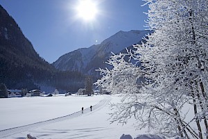 Winterzauber beim Langlaufen im verschneiten Tal der Wildkogel-Arena – zwei Langläufer auf der Loipe durch tief verschneite Landschaft mit glitzernden Bäumen und Sonne über den Hohen Tauern.