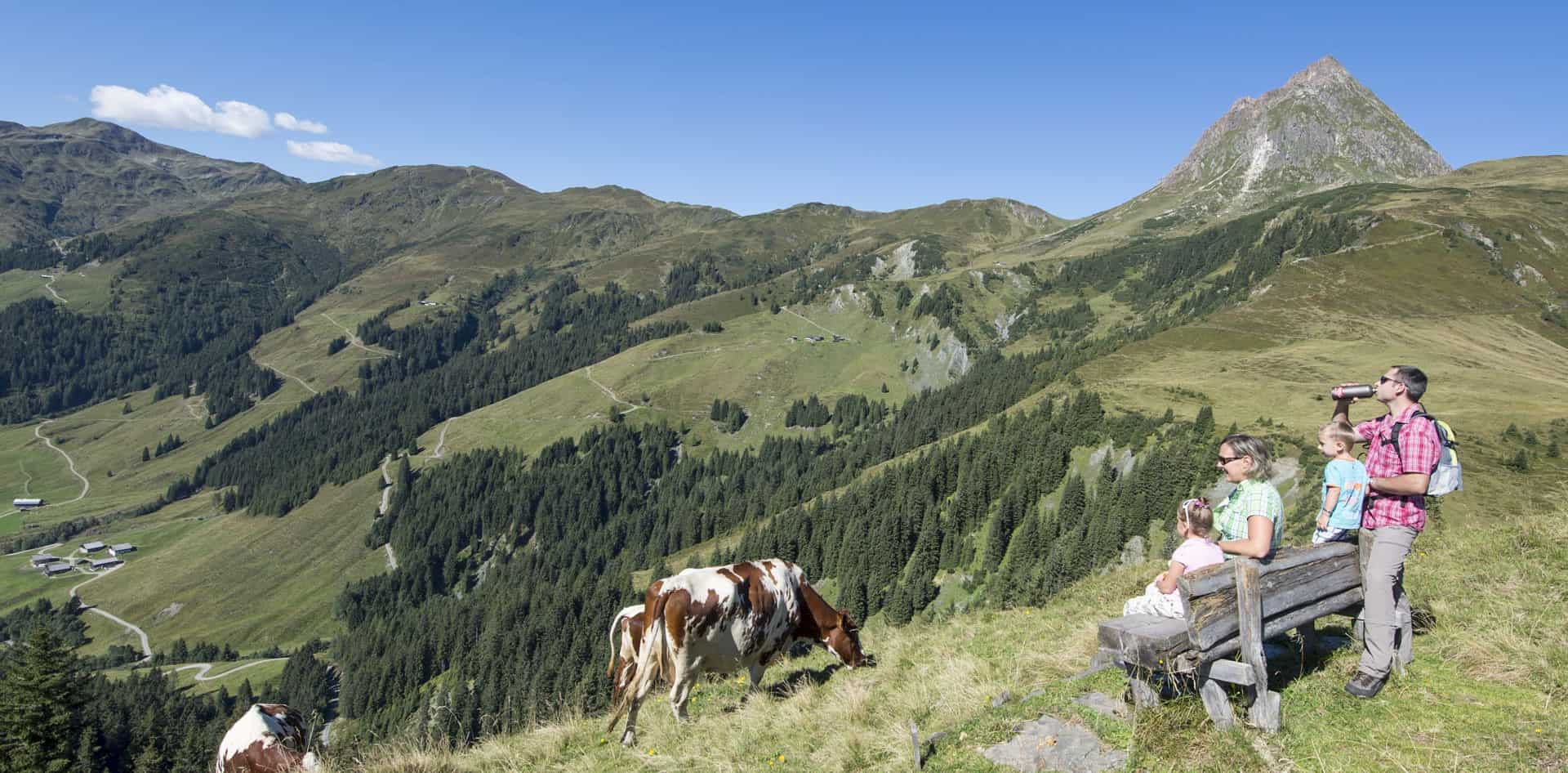 Rodinná túra v údolí Mühlbachtal – rodiče s dětmi si užívají výhled na travnaté vrcholy v oblasti Pinzgau, zatímco poblíž se pasou krávy.