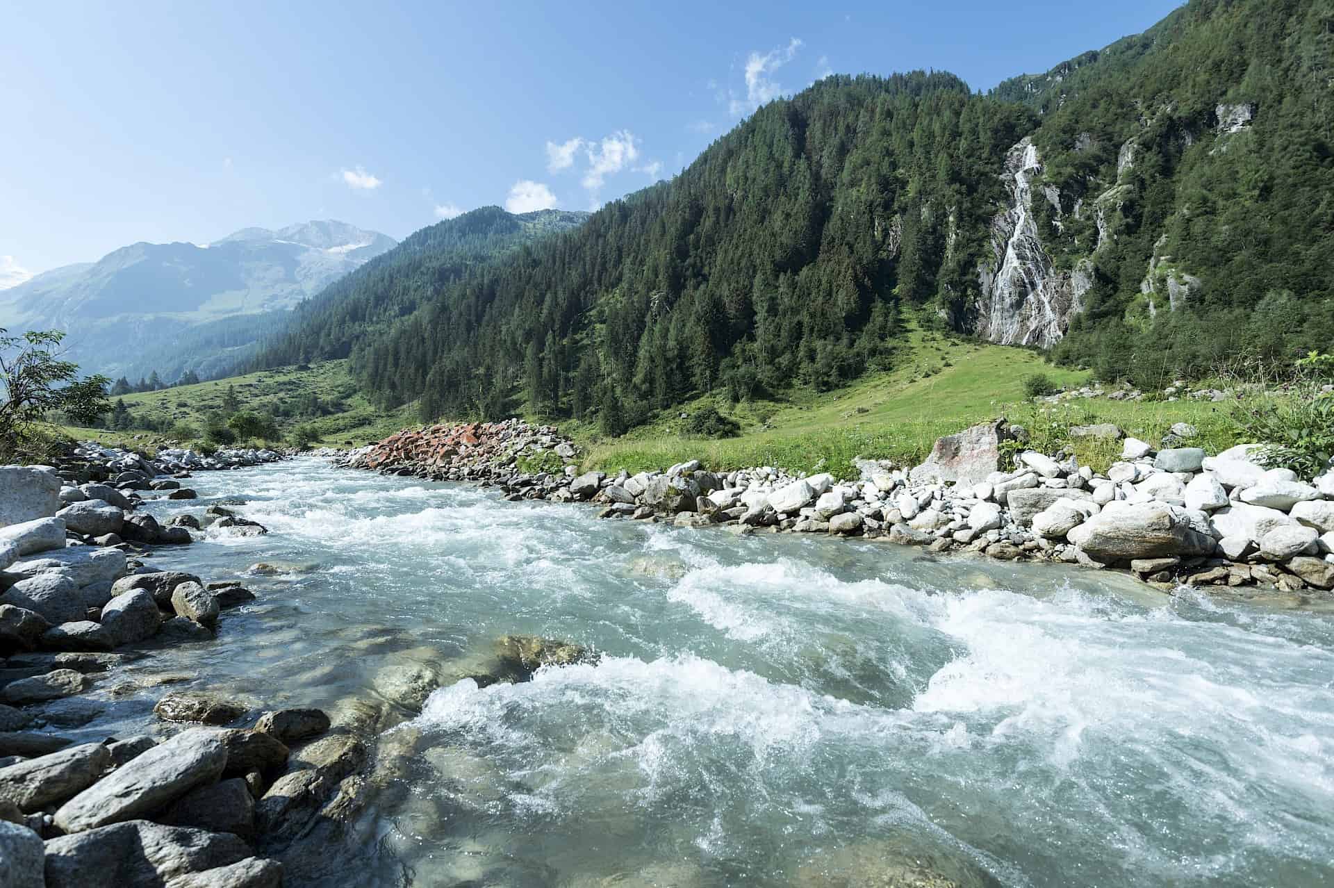 Summer in the Wildkogel Arena: Torrential mountain river surrounded by lush alpine meadows and dense forests – nature adventure and hiking enjoyment in the Hohe Tauern National Park.