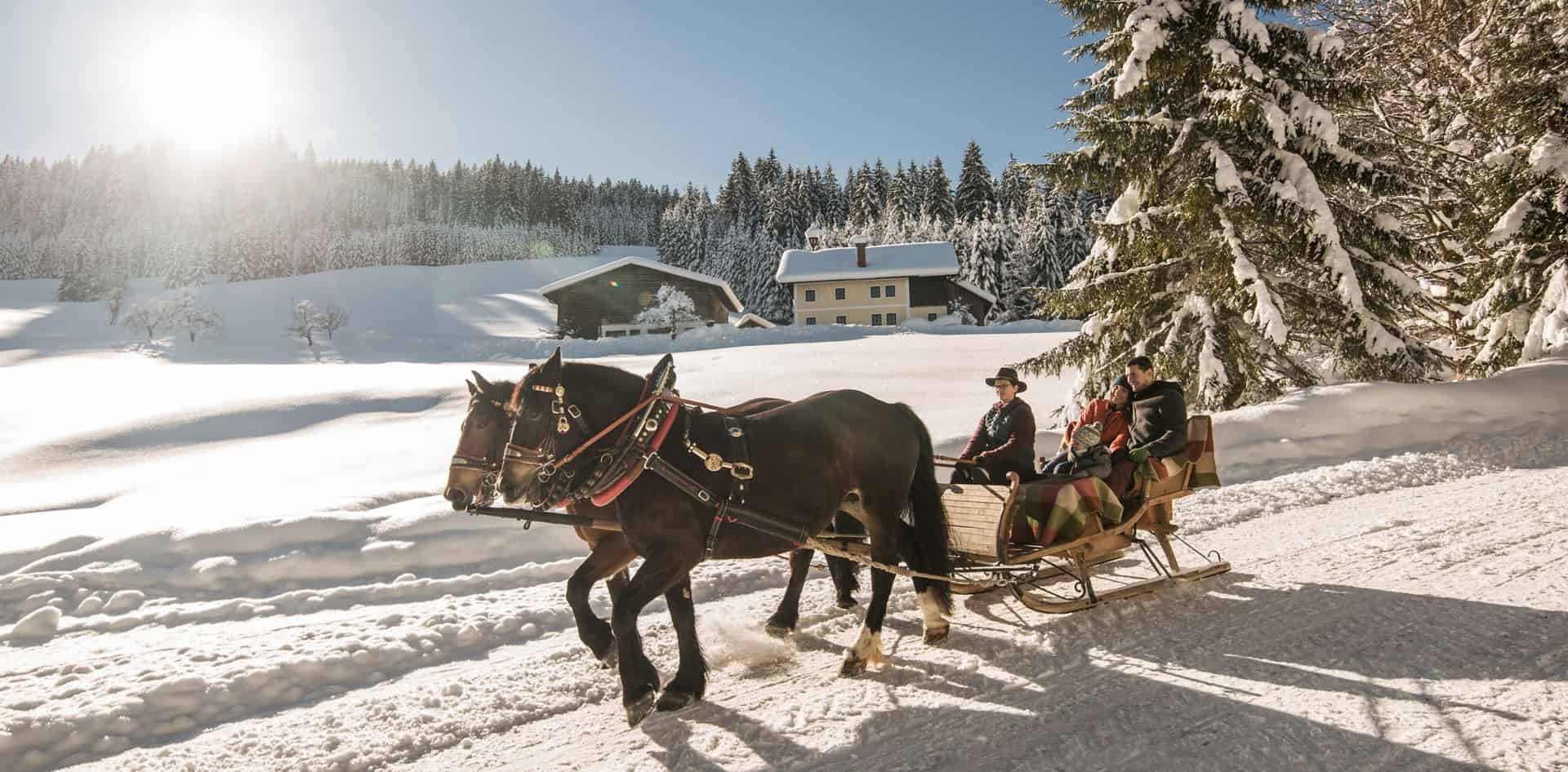 Romantická jízda na saních tažených koňmi zasněženou zimní krajinou oblasti Wildkogel s výhledem na tradiční horské usedlosti.