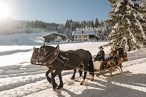 Romantische Pferdeschlittenfahrt durch die verschneite Winterlandschaft der Wildkogel-Arena mit Blick auf traditionelle Bauernhäuser.