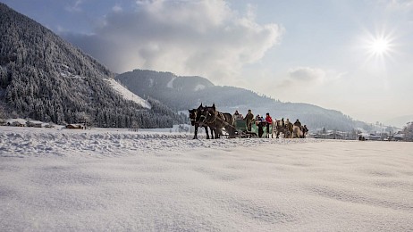Jízda na saních tažených koňmi zasněženou krajinou oblasti Wildkogel s panoramatickým výhledem na Kitzbühelské Alpy.
