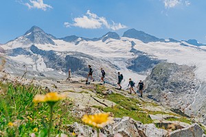 Eine Wandergruppe durchquert eine hochalpine Landschaft mit Gletscherpanorama im Obersulzbachtal im Nationalpark Hohe Tauern – aktiver Sommerurlaub in den österreichischen Alpen mit beeindruckender Naturkulisse.
